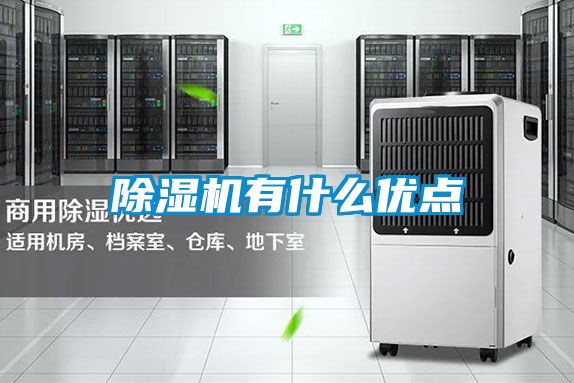 麻豆视频黄网站有什么优点
