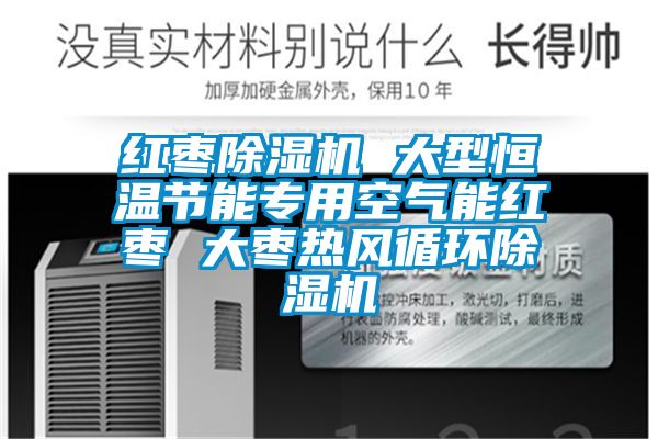 红枣麻豆视频黄网站 大型恒温节能专用空气能红枣 大枣热风循环麻豆视频黄网站