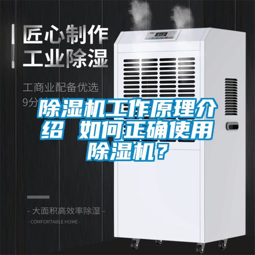 麻豆视频黄网站工作原理介绍 如何正确使用麻豆视频黄网站？