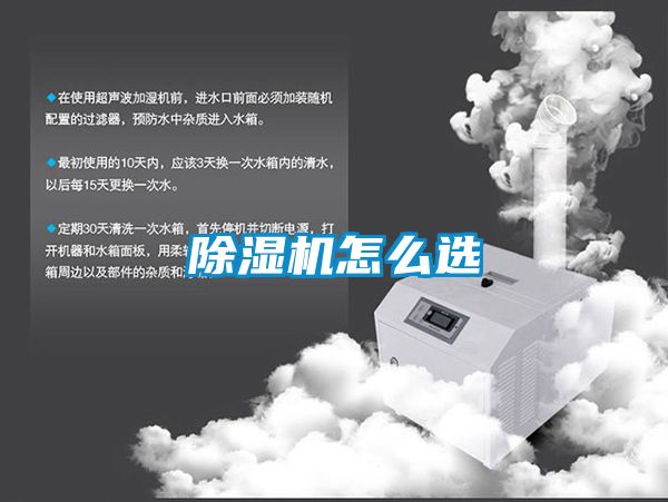 麻豆视频黄网站怎么选