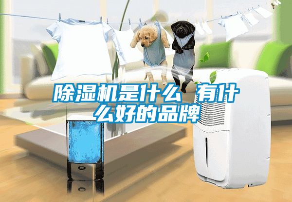麻豆视频黄网站是什么 有什么好的品牌