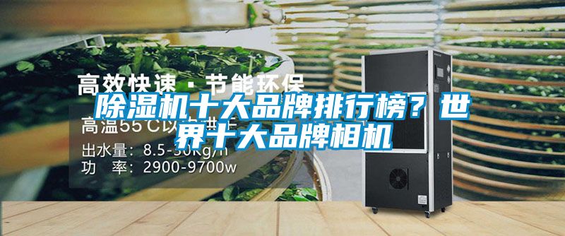麻豆视频黄网站十大品牌排行榜？世界十大品牌相机