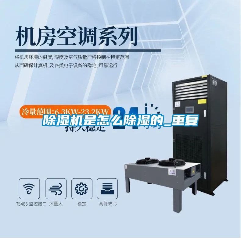 麻豆视频黄网站是怎么除湿的_重复