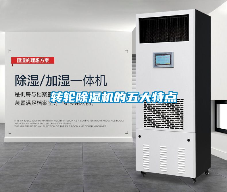 转轮麻豆视频黄网站的五大特点