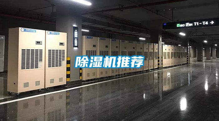 麻豆视频黄网站推荐