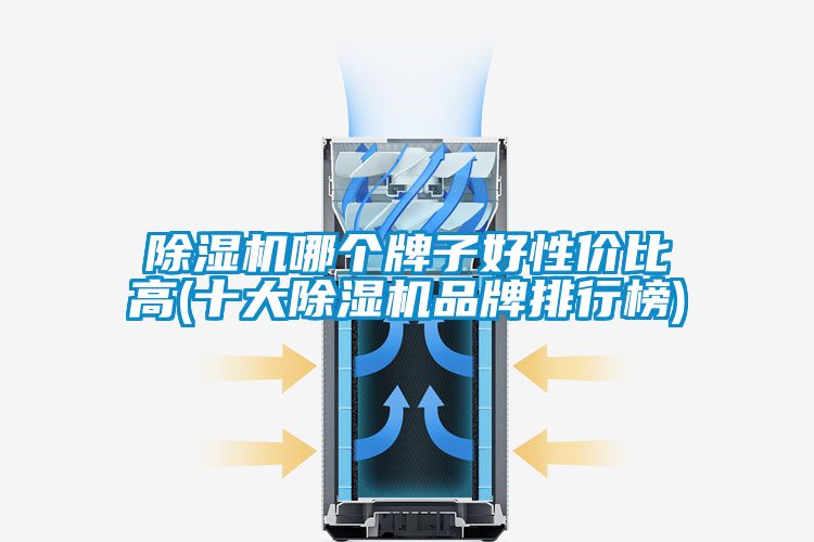 麻豆视频黄网站哪个牌子好性价比高(十大麻豆视频黄网站品牌排行榜)