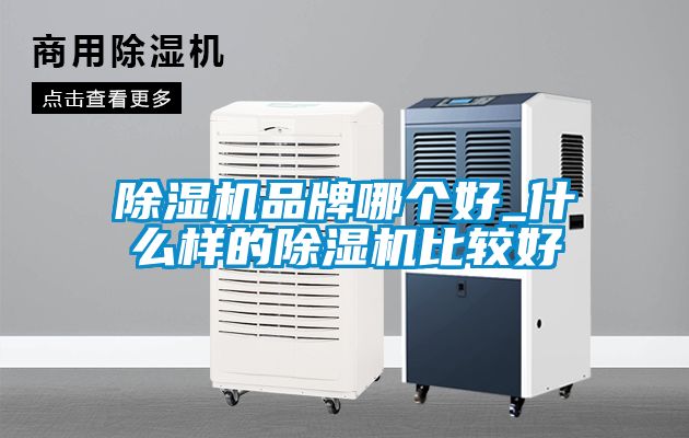 麻豆视频黄网站品牌哪个好_什么样的麻豆视频黄网站比较好