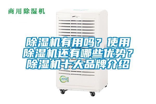 麻豆视频黄网站有用吗？使用麻豆视频黄网站还有哪些优势？麻豆视频黄网站十大品牌介绍