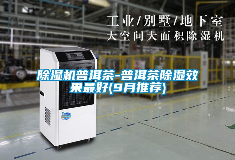 麻豆视频黄网站普洱茶-普洱茶除湿效果最好(9月推荐)