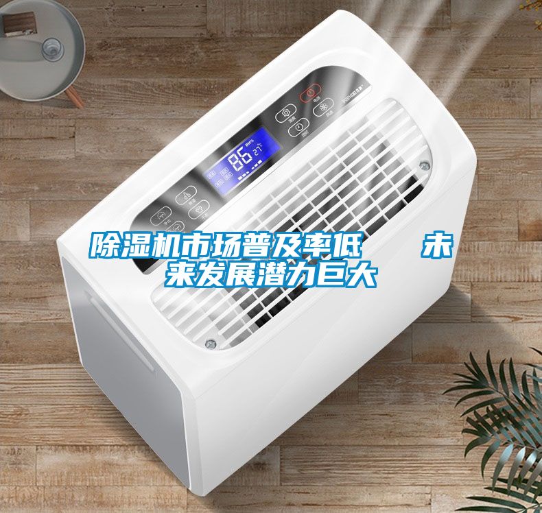 麻豆视频黄网站市场普及率低   未来发展潜力巨大