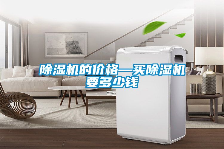 麻豆视频黄网站的价格—买麻豆视频黄网站要多少钱