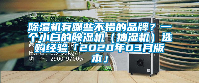 麻豆视频黄网站有哪些不错的品牌？一个小白的麻豆视频黄网站（抽湿机）选购经验「2020年03月版本」