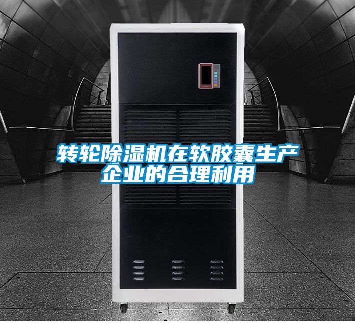 转轮麻豆视频黄网站在软胶囊生产企业的合理利用