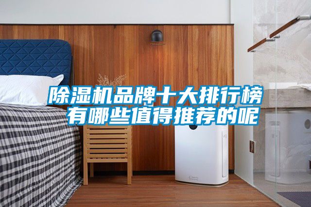麻豆视频黄网站品牌十大排行榜 有哪些值得推荐的呢
