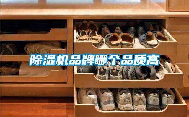 麻豆视频黄网站品牌哪个品质高