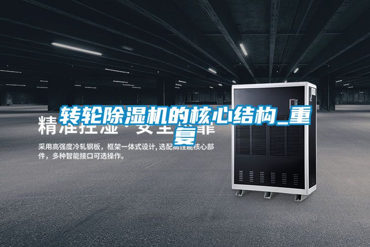 转轮麻豆视频黄网站的核心结构_重复