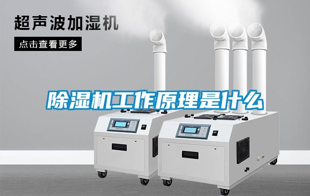 麻豆视频黄网站工作原理是什么