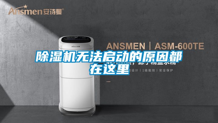 麻豆视频黄网站无法启动的原因都在这里