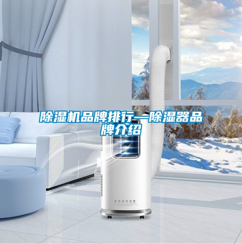 麻豆视频黄网站品牌排行—除湿器品牌介绍