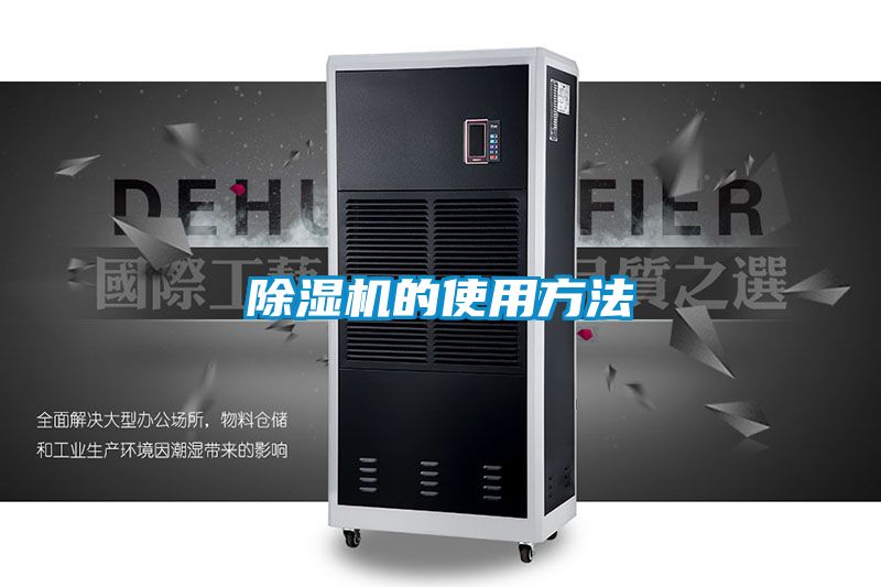 麻豆视频黄网站的使用方法