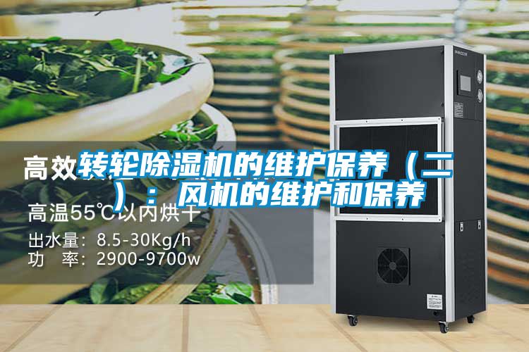 转轮麻豆视频黄网站的维护保养（二）：风机的维护和保养