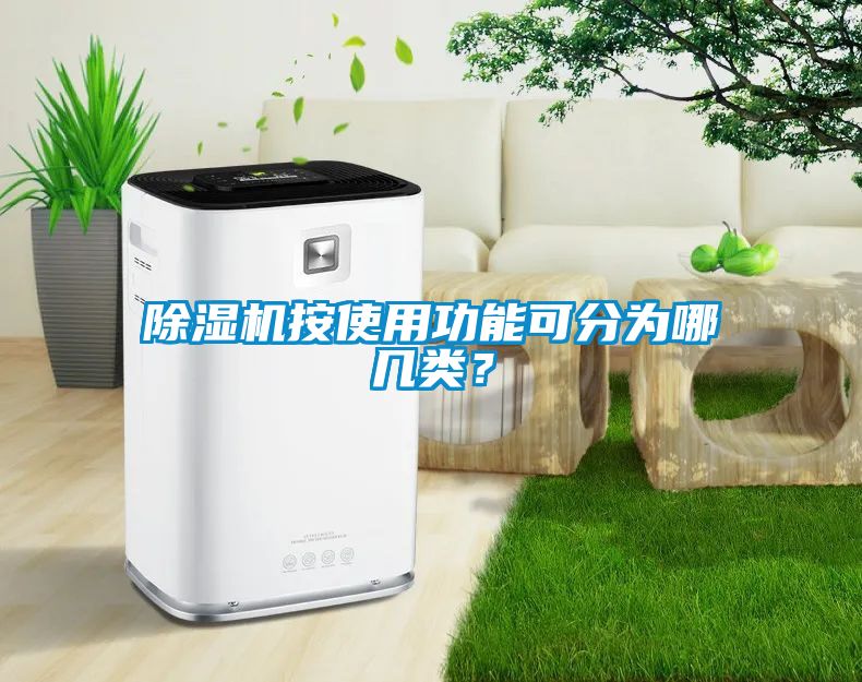 麻豆视频黄网站按使用功能可分为哪几类？