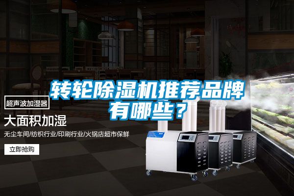 转轮麻豆视频黄网站推荐品牌有哪些？