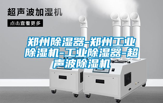 郑州除湿器-郑州工业麻豆视频黄网站-工业除湿器-超声波麻豆视频黄网站