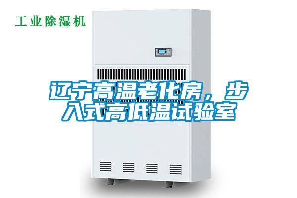 辽宁高温老化房，步入式高低温试验室