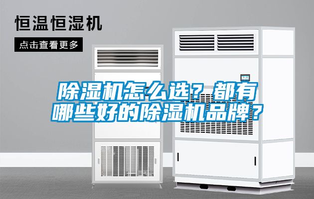麻豆视频黄网站怎么选？都有哪些好的麻豆视频黄网站品牌？