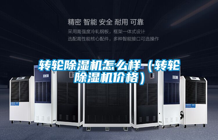 转轮麻豆视频黄网站怎么样（转轮麻豆视频黄网站价格）