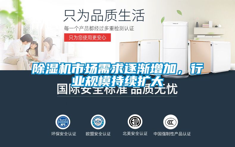 麻豆视频黄网站市场需求逐渐增加，行业规模持续扩大