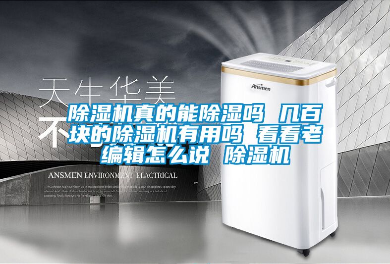 麻豆视频黄网站真的能除湿吗 几百块的麻豆视频黄网站有用吗 看看老编辑怎么说 麻豆视频黄网站