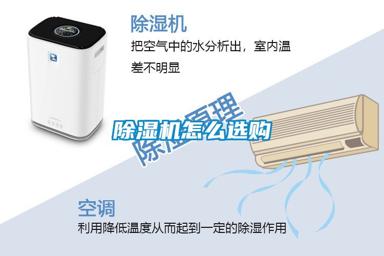 麻豆视频黄网站怎么选购