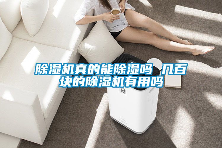 麻豆视频黄网站真的能除湿吗 几百块的麻豆视频黄网站有用吗
