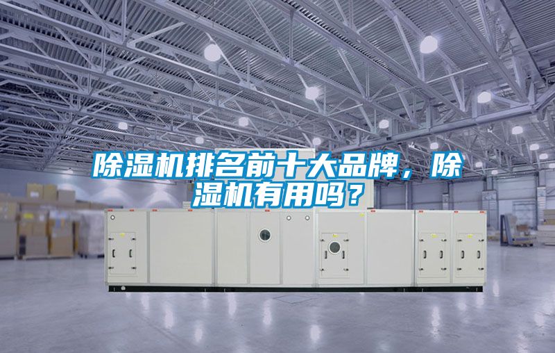 麻豆视频黄网站排名前十大品牌，麻豆视频黄网站有用吗？