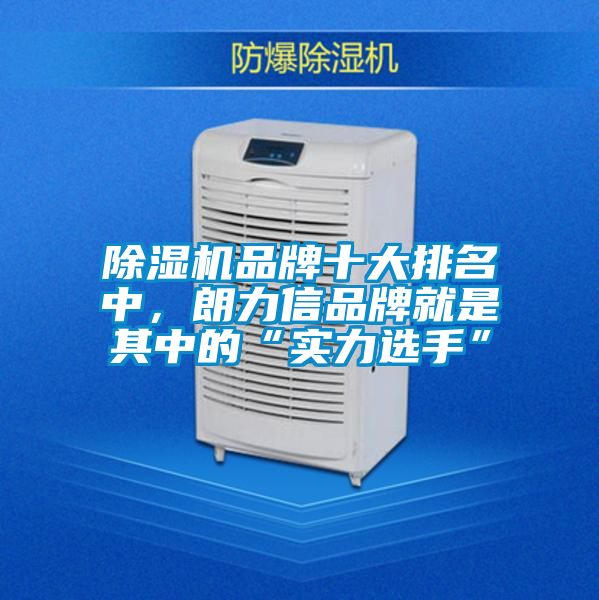 麻豆视频黄网站品牌十大排名中，朗力信品牌就是其中的“实力选手”