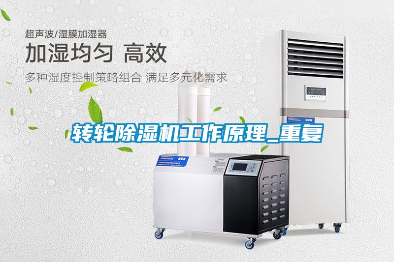 转轮麻豆视频黄网站工作原理_重复
