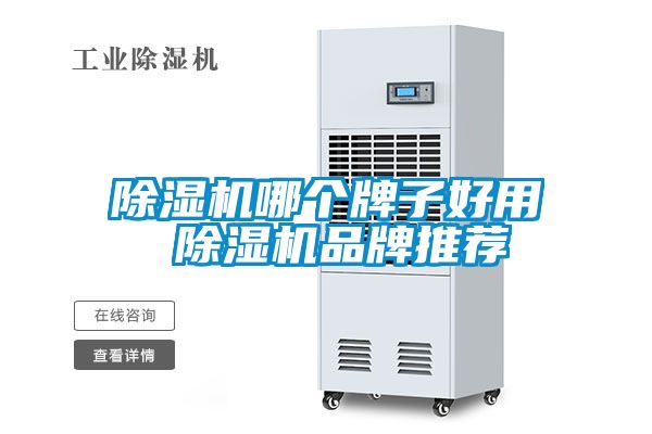 麻豆视频黄网站哪个牌子好用 麻豆视频黄网站品牌推荐
