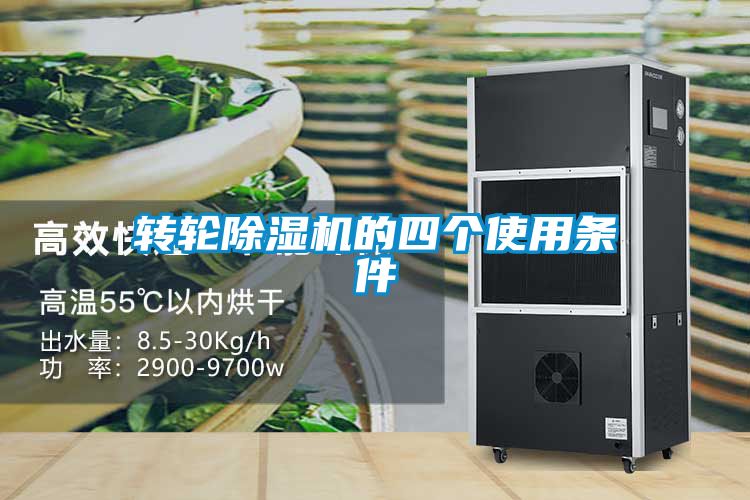 转轮麻豆视频黄网站的四个使用条件