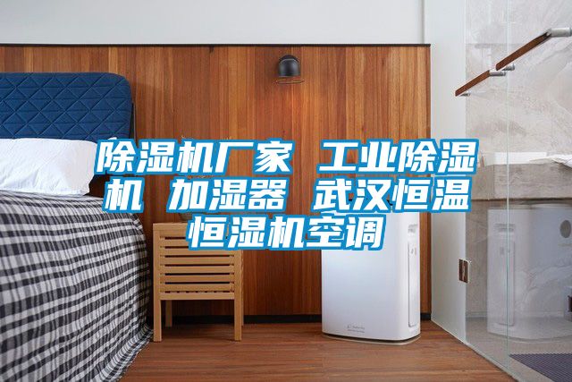 麻豆视频黄网站厂家 工业麻豆视频黄网站 加湿器 武汉恒温恒湿机空调