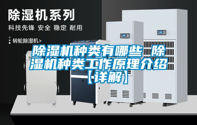 麻豆视频黄网站种类有哪些 麻豆视频黄网站种类工作原理介绍【详解】