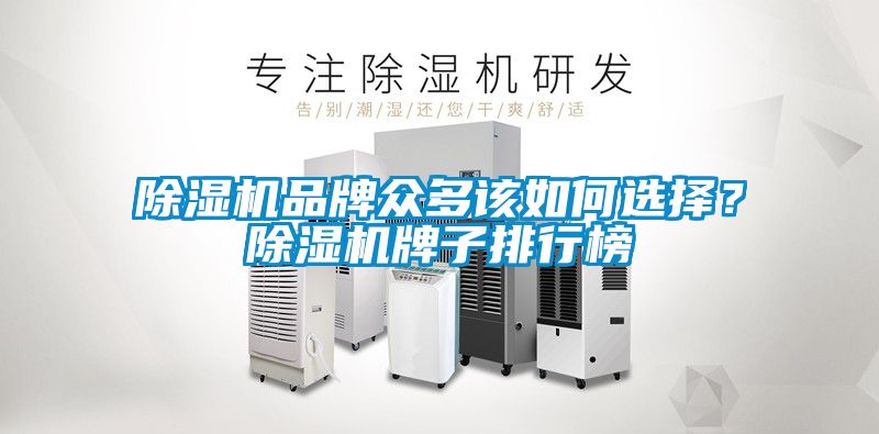 麻豆视频黄网站品牌众多该如何选择？麻豆视频黄网站牌子排行榜