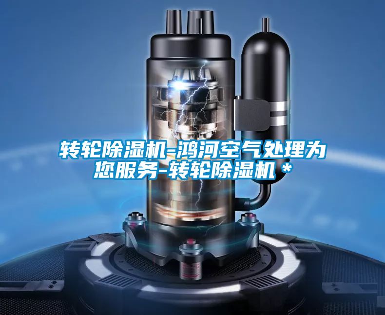 转轮麻豆视频黄网站-鸿河空气处理为您服务-转轮麻豆视频黄网站＊