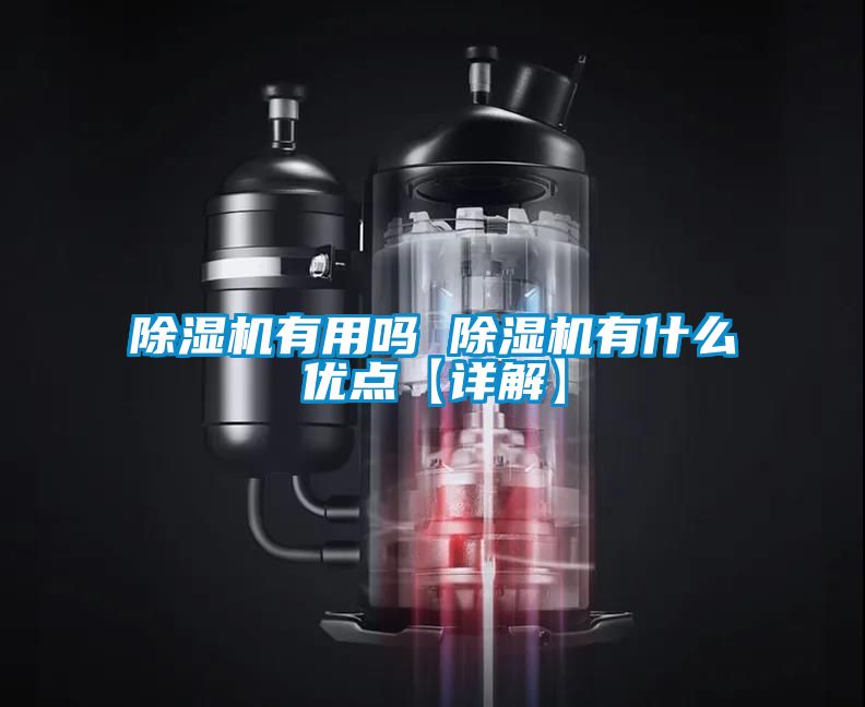 麻豆视频黄网站有用吗 麻豆视频黄网站有什么优点【详解】