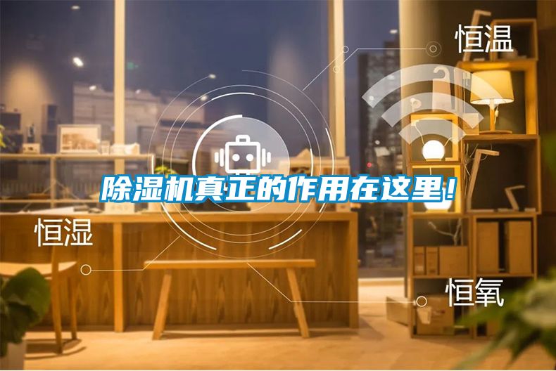 麻豆视频黄网站真正的作用在这里！