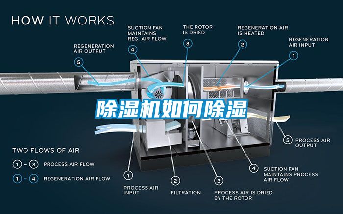 麻豆视频黄网站如何除湿