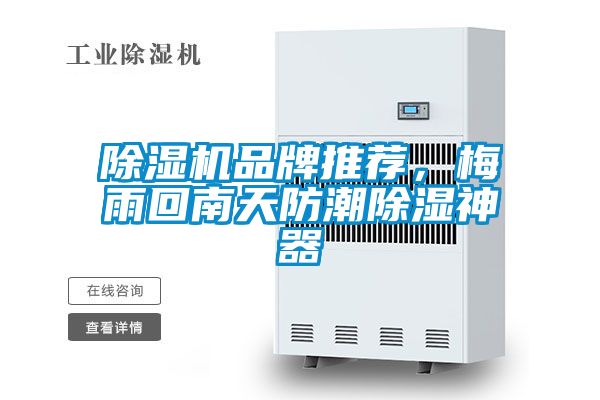 麻豆视频黄网站品牌推荐，梅雨回南天防潮除湿神器