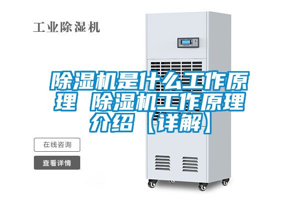 麻豆视频黄网站是什么工作原理 麻豆视频黄网站工作原理介绍【详解】