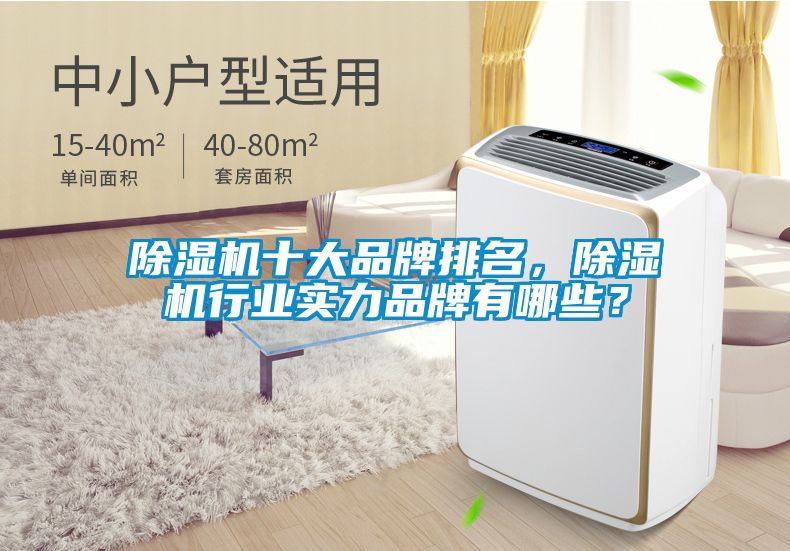 麻豆视频黄网站十大品牌排名，麻豆视频黄网站行业实力品牌有哪些？